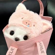 Maudy Ayunda avatar